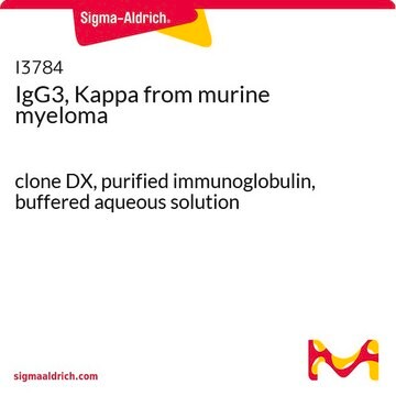 IgG3，&#954; 来源于鼠骨髓瘤 clone DX, purified immunoglobulin, buffered aqueous solution