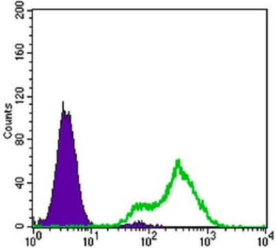 Anti-Metadherin Antibody, clone 2F11C3 clone 2F11C3, from mouse, purified by affinity chromatography