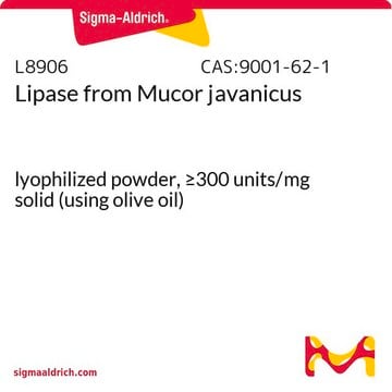 Lipase aus Mucor javanicus lyophilized powder, &#8805;300&#160;units/mg solid (using olive oil)