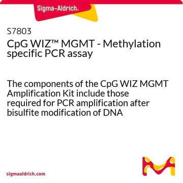 CpG WIZ&#8482; MGMT - Methylation specific PCR assay The components of the CpG WIZ MGMT Amplification Kit include those required for PCR amplification after bisulfite modification of DNA samples. Sufficient reagents are provided to analyze 25 samples.