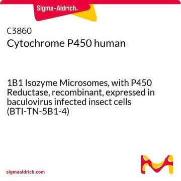 Cytochrome P450 human 1B1 Isozyme Microsomes, with P450 Reductase, recombinant, expressed in baculovirus infected insect cells (BTI-TN-5B1-4)