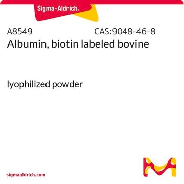 Albumin, biotin labeled bovine lyophilized powder