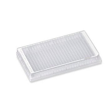 Eppendorf&#174; Protein LoBind Microplate 384/V-PP PCR clean, V-bottom clear wells, white border, pack of 240&#160;ea (10 bags × 24 plates)