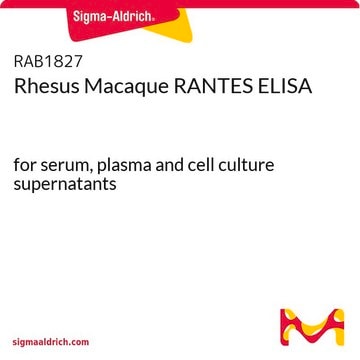 Rhesus Macaque RANTES ELISA for serum, plasma and cell culture supernatants