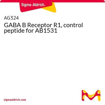 GABA B Receptor R1, control peptide for AB1531