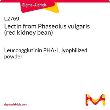 Lectin from Phaseolus vulgaris (red kidney bean) Leucoagglutinin PHA-L, lyophilized powder