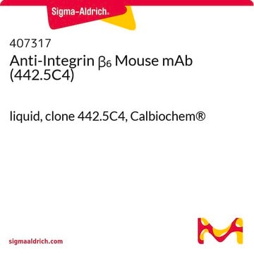 Monoklonaler Anti-Integrin-&#946;&#8326;-Antikörper der Maus (442.5C4) liquid, clone 442.5C4, Calbiochem&#174;