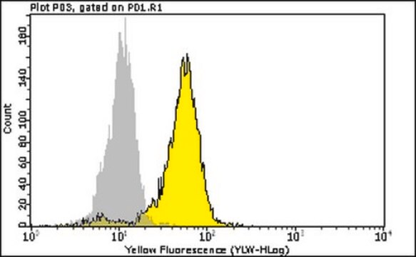 Milli-Mark Anti-Phospho-Erk1/2 Antibody (Thr202/Tyr204, Thr185/Tyr187)-PE clone AW39R, Milli-Mark&#174;, from rabbit