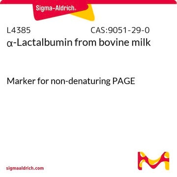 &#945;-Lactalbumin aus Kuhmilch Marker for non-denaturing PAGE