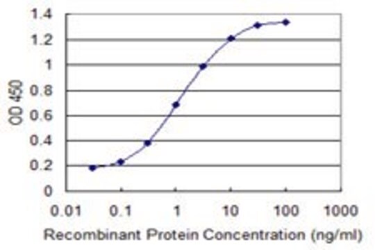 ANTI-SUPT16H antibody produced in mouse clone 4D6, purified immunoglobulin, buffered aqueous solution