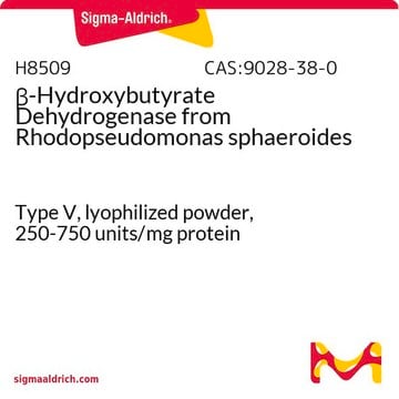 &#946;-Hydroxybutyrat-Dehydrogenase aus Rhodopseudomonas sphaeroides Type V, lyophilized powder, 250-750&#160;units/mg protein