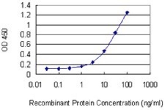 Monoclonal Anti-RHOQ antibody produced in mouse clone 2C1, purified immunoglobulin, buffered aqueous solution