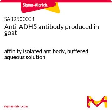 Anti-ADH5 antibody produced in goat affinity isolated antibody, buffered aqueous solution