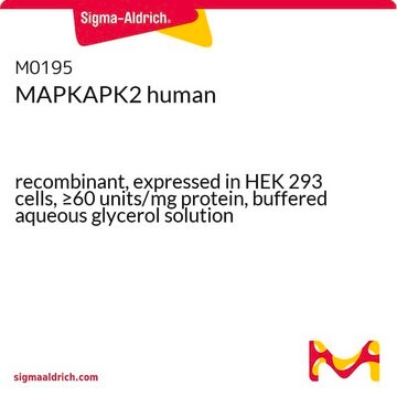 MAPKAPK2 recombinant, expressed in HEK 293 cells, &#8805;60&#160;units/mg protein, buffered aqueous glycerol solution