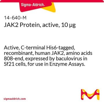 JAK2 Protein, active, 10 &#181;g Active, C-terminal His6-tagged, recombinant, human JAK2, amino acids 808-end, expressed by baculovirus in Sf21 cells, for use in Enzyme Assays.