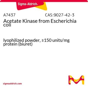 Acetat-Kinase aus E. coli lyophilized powder, &#8805;150&#160;units/mg protein (biuret)