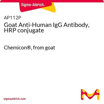 Anti-Human-IgG-Antikörper der Ziege, HRP-Konjugat Chemicon&#174;, from goat