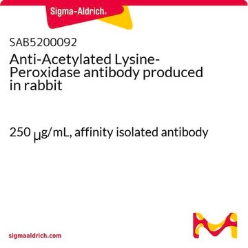 Anti-Acetylated Lysine-Peroxidase antibody produced in rabbit 250&#160;&#956;g/mL, affinity isolated antibody