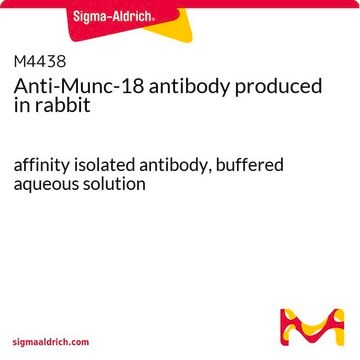 Anti-Munc-18 antibody produced in rabbit affinity isolated antibody, buffered aqueous solution