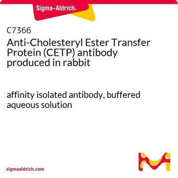 Anti-Cholesteryl Ester Transfer Protein (CETP) antibody produced in rabbit affinity isolated antibody, buffered aqueous solution