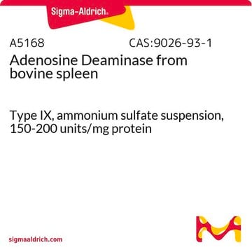 Adénosine déaminase from bovine spleen Type IX, ammonium sulfate suspension, 150-200&#160;units/mg protein