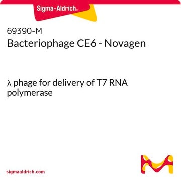 Bacteriophage CE6 - Novagen &#955; phage for delivery of T7 RNA polymerase