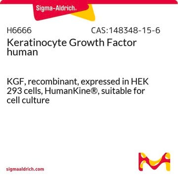 Facteur de croissance des kératinocytes human KGF, recombinant, expressed in HEK 293 cells, HumanKine&#174;, suitable for cell culture