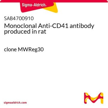 Monoclonal Anti-CD41 antibody produced in rat clone MWReg30