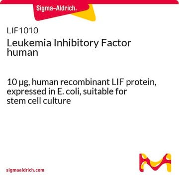 Factor inhibidor de la leucemia humano 10 &#181;g, human recombinant LIF protein, expressed in E. coli, suitable for stem cell culture