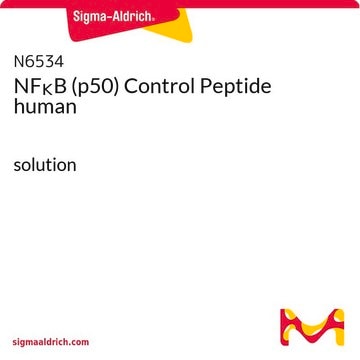 NF&#954;B (p50) Control Peptide human solution