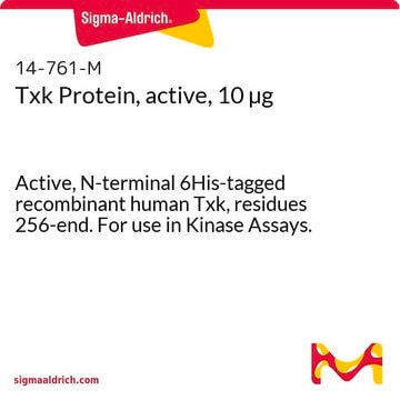 Txk Protein, active, 10 &#181;g Active, N-terminal 6His-tagged recombinant human Txk, residues 256-end. For use in Kinase Assays.