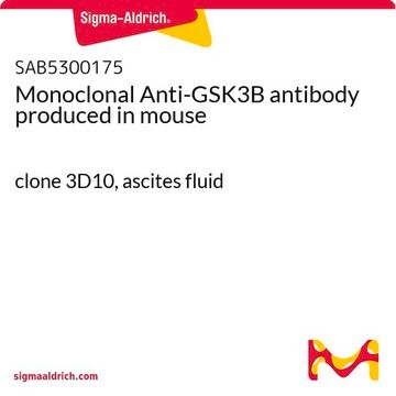 Monoclonal Anti-GSK3B antibody produced in mouse clone 3D10, ascites fluid