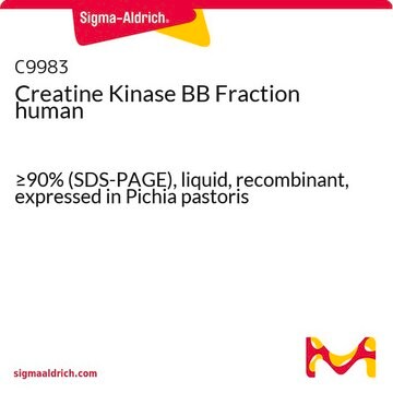 Creatine Kinase BB Fraction human &#8805;90% (SDS-PAGE), liquid, recombinant, expressed in Pichia pastoris