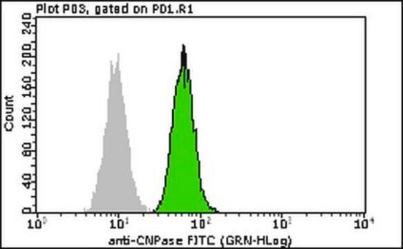 Milli-Mark Anti-CNPase-FITC Antibody, clone 11-5B clone 11-5B, Milli-Mark&#174;, from mouse