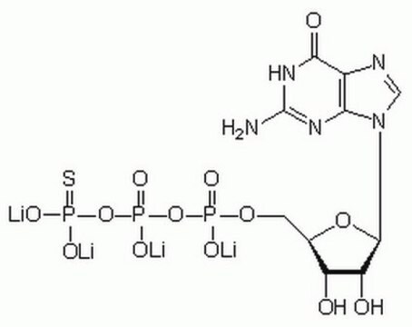 Guanosine 5&#697;-O-(3-Thiotriphosphate), Tetralithium Salt - CAS 94825-44-2 - Calbiochem G-protein-activating GTP analog, which is more resistant to hydrolysis than GTP.