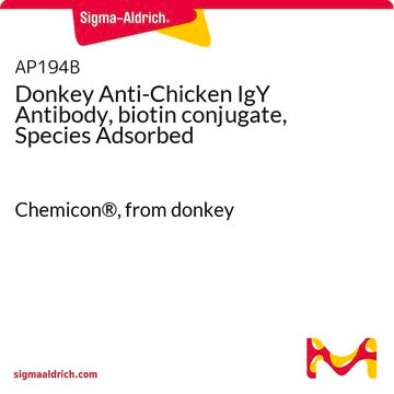 Donkey Anti-Chicken IgY Antibody, biotin conjugate, Species Adsorbed Chemicon&#174;, from donkey