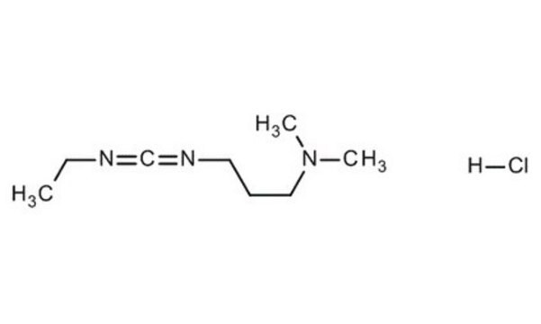 N-(3-Dimethylaminopropyl)-N -ethylcarbodiimide hydrochloride for