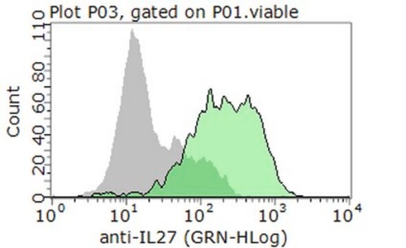 Anti-IL-27A Antibody from rabbit, purified by affinity chromatography