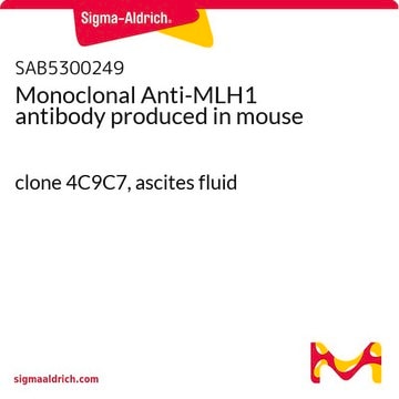 Monoclonal Anti-MLH1 antibody produced in mouse clone 4C9C7, ascites fluid