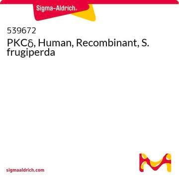 PKC&#948;, Human, Recombinant, S. frugiperda