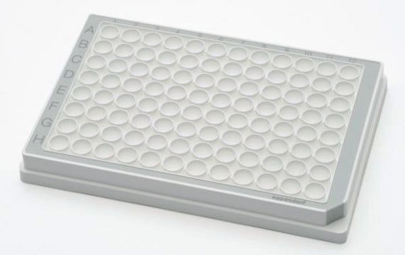 Eppendorf&#174; Microplate 96/V-PP, 96 wells gray polypropylene, conical bottom white wells, PCR clean, pkg of 80&#160;ea