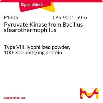 Pyruvat-Kinase aus Bacillus stearothermophilus Type VIII, lyophilized powder, 100-300&#160;units/mg protein