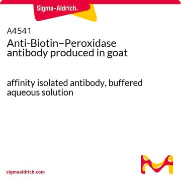 Anticorps anti-biotine&#8722;peroxydase antibody produced in goat affinity isolated antibody, buffered aqueous solution