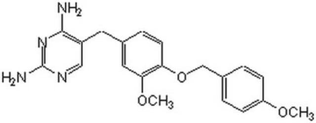 cFMS Receptor Tyrosine Kinase Inhibitor The cFMS Receptor Tyrosine Kinase Inhibitor, also referenced under CAS 870483-87-7, controls the biological activity of cFMS. This small molecule/inhibitor is primarily used for Phosphorylation &amp; Dephosphorylation applications.