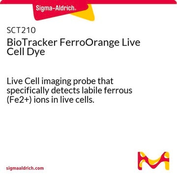 BioTracker FerroOrange Live Cell Dye Live Cell imaging probe that specifically detects labile ferrous (Fe2+) ions in live cells.