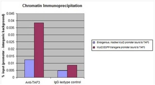 抗-TAF3抗体 serum, from rabbit | Sigma-Aldrich