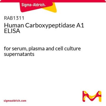 Human Carboxypeptidase&nbsp;A1 ELISA for serum, plasma and cell culture supernatants