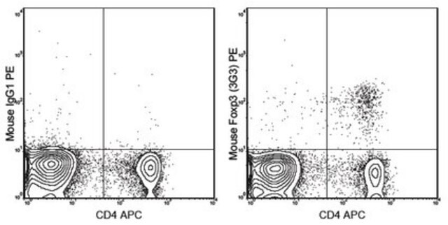 Anti-Foxp3 Antibody (mouse), PE, clone 3G3 clone 3G3, 0.2&#160;mg/mL, from mouse