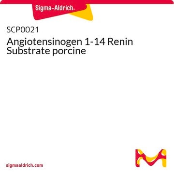 Angiotensinogen 1-14 Renin Substrate porcine