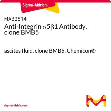 Anticorps anti-intégrine&nbsp;&#945;5&#946;1, clone&nbsp;BMB5 ascites fluid, clone BMB5, Chemicon&#174;